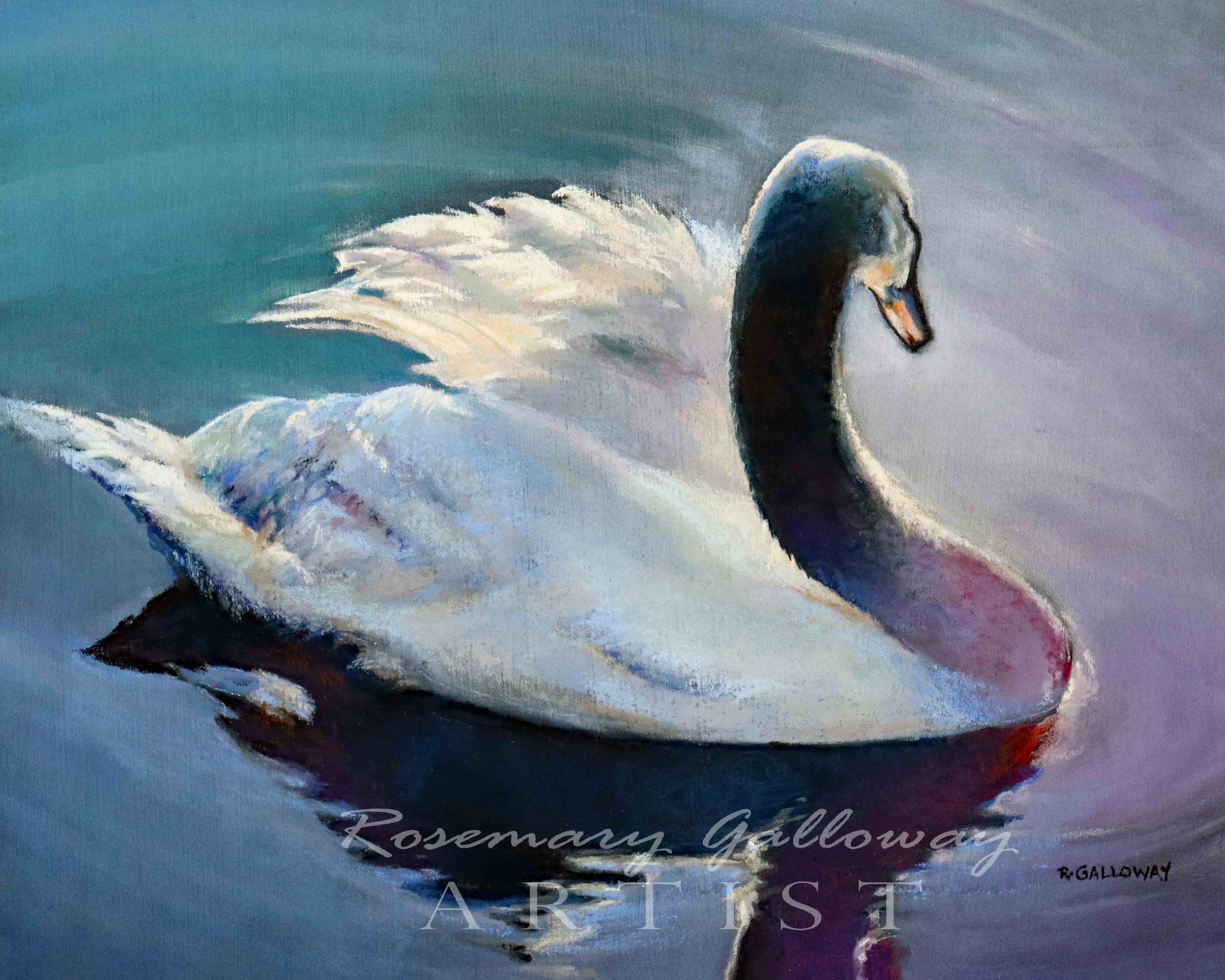 Swan 1 (10 x 8 ) Pastel